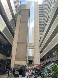 Hong Lim Complex (D1), Office #512530871